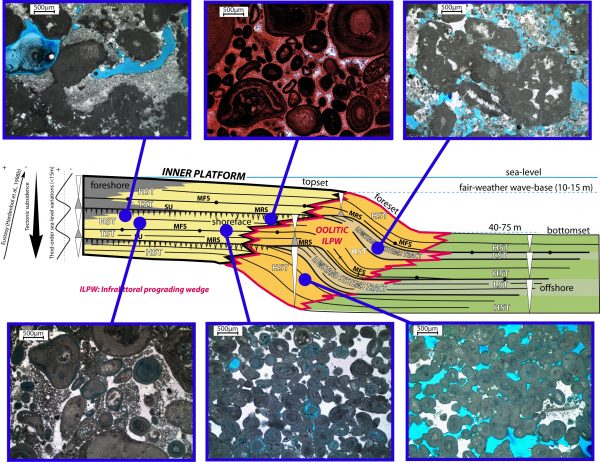 Dynamique sédimentaire et diagenèse de la bordure de la plateforme carbonatée jurassique du Bassin Aquitain